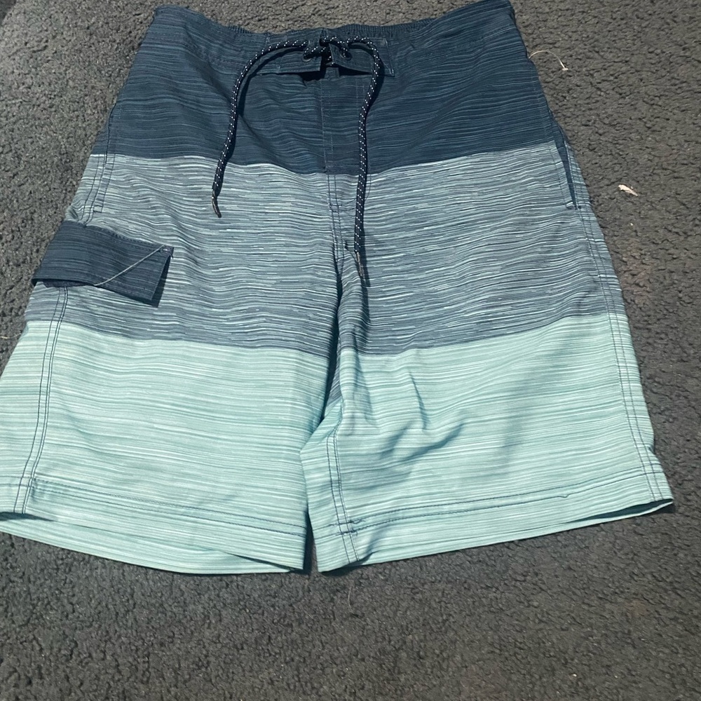 Men's Striped Swim Shorts - Blue and Green